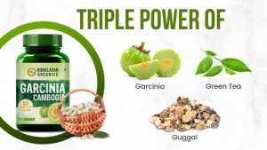 Garcinia Cambogia: From Fat to Fit