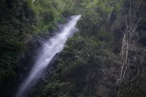 Dlundung Waterfall, a Beautiful Waterfall Wrapped in Myth in Mojokerto