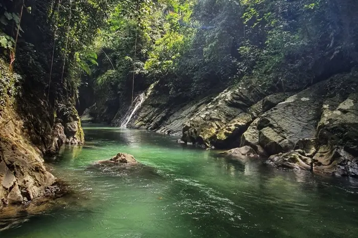 Tangkahan Langkat, A Hidden Paradise and Wildlife Conservation Haven in North Sumatra