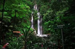 Cilember Waterfall, Enjoy Seven Exotic Waterfalls in One Area in Bogor